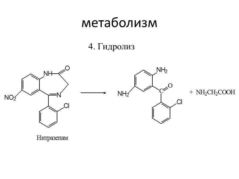 метаболизм 4. Гидролиз